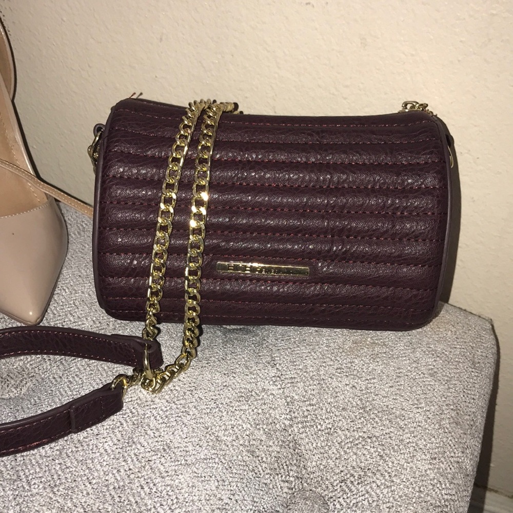 New Plum BCBG Purse